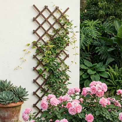 Expandable Garden Lattice, 38"x89" Wooden Trellis for Climbing Plants 2PCS - color: Brown-2PC, size: 38" x 89"