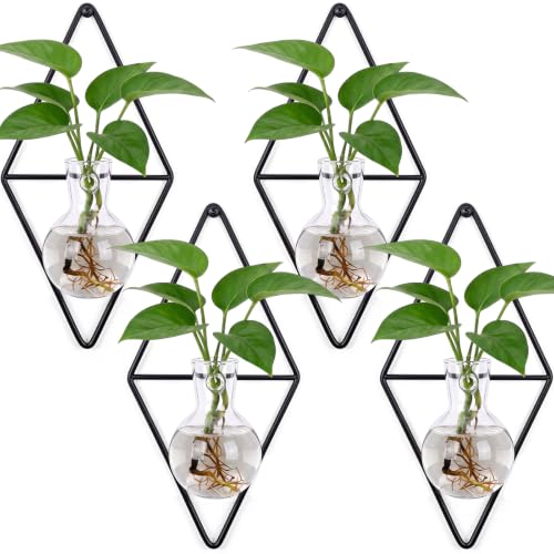 4 Pack Wall Hanging Glass Vase with Metal Frame, Wall Mounted Plant Propagation Station, Diamond Shape Hydroponic Glass Planters with Iron Holder and Screws for Indoor Decor (Black)