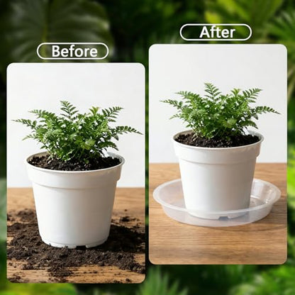 6Pack Plant Saucer, 3 5 7 9 11 13 15 17 19 21 in Plastic Plant Tray - size: 13 Inch