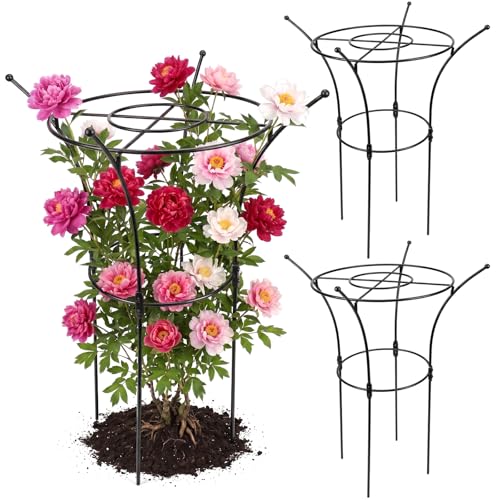2 Pack Large Peony Cages and Supports, 38" H x 19" D Tall Heavy Duty 5mm Black Metal Garden Stakes for Outdoor & Indoor Plants, Sturdy Rust-Resistant Frame for Peonies Roses Flowers - size: 2 Pack