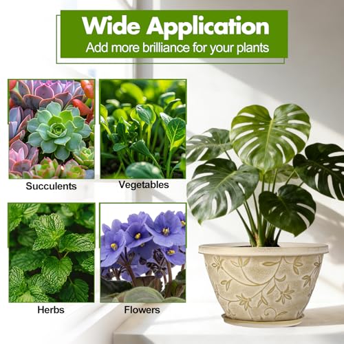Nooulap 8 Inch Plant Pot, Beige Flower pots, 4 Pack - color: Beige, size: 8 inch