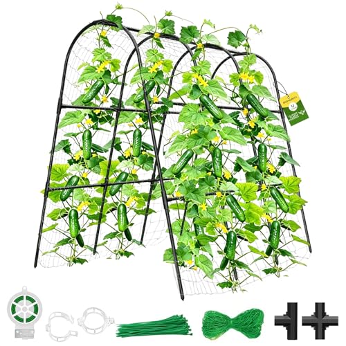 Cucumber Trellis for Raised Bed,U-Shape Garden Trellis for Climbing Plants Outdoor, Metal Arch Vegetables Trellis, Plant Support for Vine (Black, 47.2" Lx21.6 WX47.2 H-Medium) - color: Black, size: 47.2"Lx21.6"Wx47.2"H-Medium