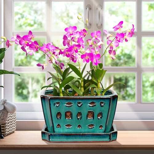 Teenyyou 7 Inch Ceramic Orchid Pot with Holes and Saucer Repotting,Green - color: Green
