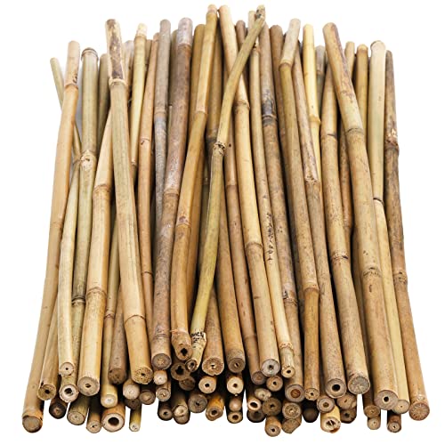 Frcctre 60 Pack 16 Inch Bamboo Plant Stakes, Natural Garden Sticks for Plant Indoor and Outdoor Gardening Plants Support Climbing Stakes for Tomatoes, Beans, Potted Plants
