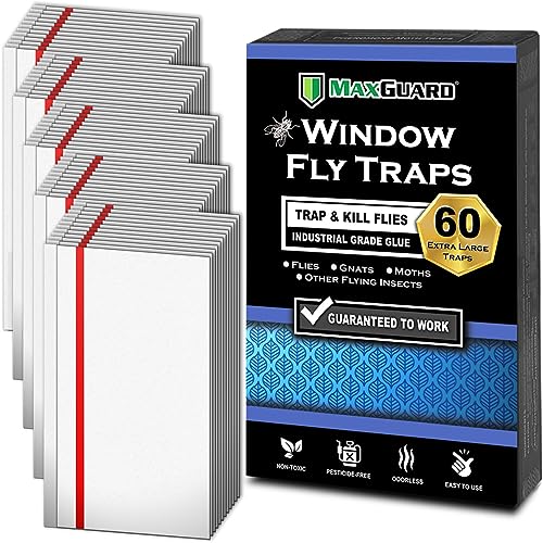 MaxGuard Window Fly Traps (60 XL Traps) Catch & Kill Houseflies, Flying Insects & Bugs. Non-Toxic Sticky Glue Traps Fly Killer Clear Strip Insect Catcher Safe No Zapping with Zapper | - size: 60 XL Traps