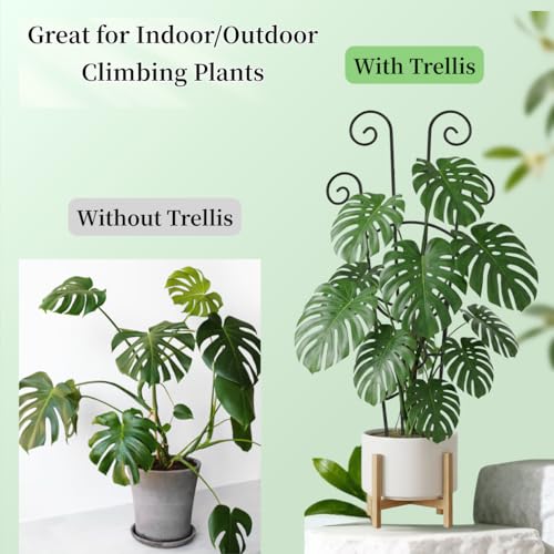 2 Pack 33 inch Plant Trellis for Climbing Plants Outdoor/Indoor, Expandable Large Metal Garden Trellis for Climber Plants, Sturdy Houseplant Support Stakes for Potted Vine Ivy Pothos Monstera - size: 33in/2Pack,Style 2