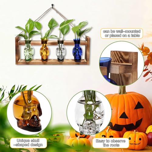 Plant Propagation Stations Halloween Skull Plant Terrarium Kit - color: Color011