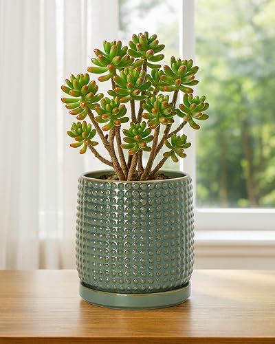 D'vine Dev Beaded Ceramic Pot with Saucer, 6 in, Olive, 27-C-X-0 - color: Olive, size: 5.8 Inch