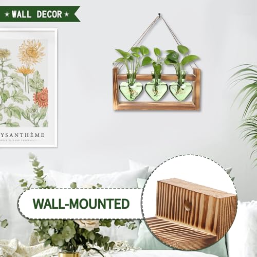 Plant Terrarium Propagation Stations Hydroponics - color: Green(Faith Hope Love)