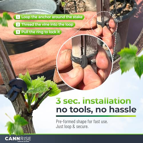 Anchor Bands for Trellising – 110-Pack 5 cm/1.96 in Rubber Vine Ties, UV-Protected Bands: Grapevines, Trees & Climbing Plants – Tool-Free Loop-and-Anchor Design for Install, Weatherproof - size: 110 pack / 1.96"