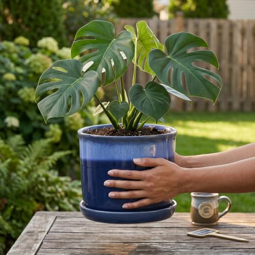 8 Inch Ceramic Plant Pot with Bonded Saucer & Drainage Hole, Large Modern Blue Flower Planter for Indoor Outdoor Houseplants, Monstera, Home Office Decor - color: Blue, size: Medium