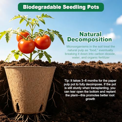 70 Packs 3.15 Inch Peat Pots for Seedling with 70 Pcs Plant Labels, Biodegradable Seed Starter Pots with Drainage Holes, Outdoor Garden Germination Round Nursery Pots Kits