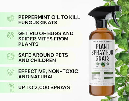 Kate's Home & Garden Plant Spray for Insects & Gnats, 12 Sticky Traps, 16oz - size: 16 Fl Oz (Pack of 1)