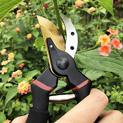 gonicc 8" Professional Premium Bypass Titanium Pruning Shears(GPPS-1003) - color: Golden Titanium Bypass Pruning Shears