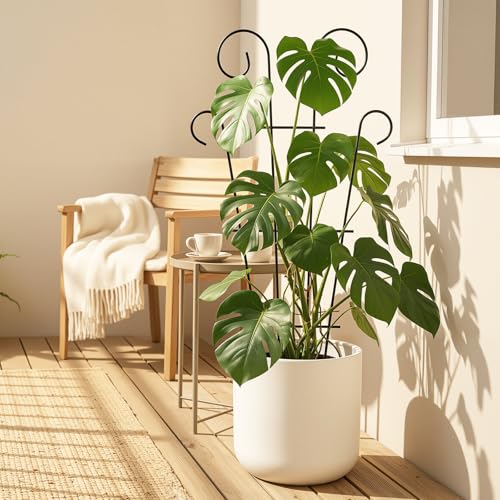Thealyn 4 Pack 23 Inch Plant Trellis for Potted Plants - size: 23 inch