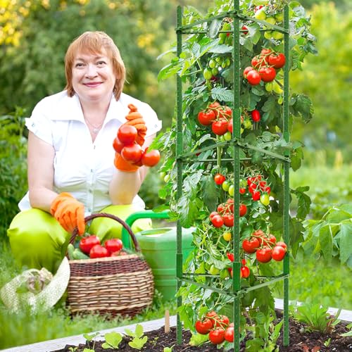 Legigo 4 Pack Tomato Cage for Garden, Up to 48Inch Sturdy Tomato Trellis - color: Green 4 Pack, size: 48 Inches