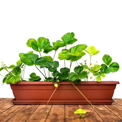 6 Pcs 31 inch Window Box Planter, Large Rectangular Plastic Flower Pot with Tray, Suitable for Indoor & Outdoor Gardens, Balcony and Home Decor (6)