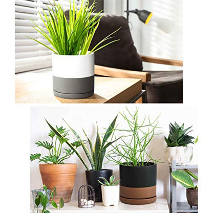 D'vine Dev Set of 2 Plants Pots, 6 Inch Ceramic Planter Pot for Plants with Drainage Hole and Saucer, White-Grey/Black-Tan, 94-V-C-C - color: White Grey/Black Tan, size: 6 Inch