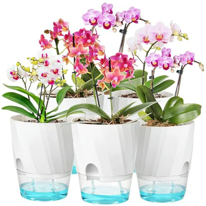 KIMCHOMERSE Self Watering Plant Pots, 6 Inch Indoor Plant Pots 6 Pack - color: White, size: 6 Inch Set of 6