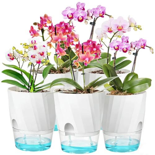 KIMCHOMERSE Self Watering Plant Pots, 6 Inch Indoor Plant Pots 6 Pack - color: White, size: 6 Inch Set of 6