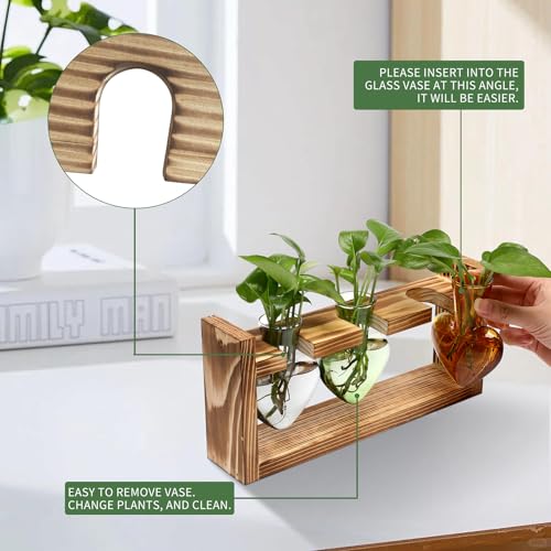 Plant Terrarium Propagation Stations Hydroponics - color: Color 4