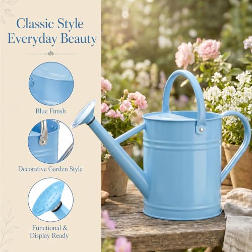 1 Gallon Metal Watering Can for Indoor Outdoor Plants, Sky Blue - color: Sky Blue
