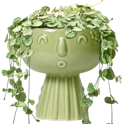 Face Planter Pot - 7 Inch Ceramic Head Planter for Indoor Plants Outdoor, Cute Succulent Flower Pots with Drainage Hole, Room Home Garden Decor, Gardening Gifts, Green - color: Green-girl