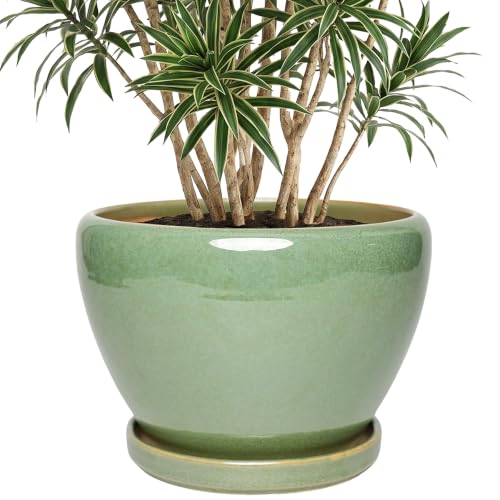 10.6 Inch Ceramic Planter with Saucer for Indoor Plants (Light Green) - color: Light Green, size: 10.6 Inch