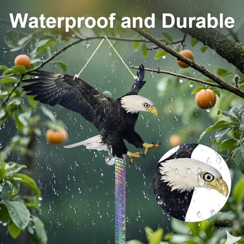 Flat Fake Hawk to Keep Pigeon Away with Reflective Tape, 2Pcs Visual Hanging Owls to Scare Away from Woodpecker Porch Patio Balcony, Pigeon Scare Devices, Garden Owls to Scares Outdoor to Protect Yard - color: 4Pcs Black-2