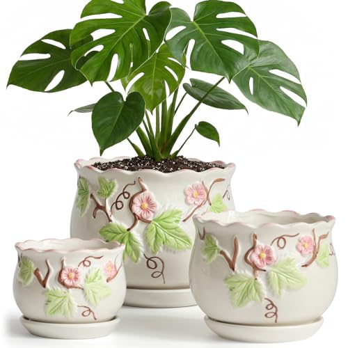 Ceramic Plant Pots with Drainage Holes and Saucers, Small Planters Set of 3 - color: White03