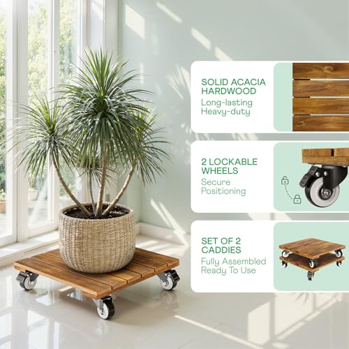 Idzo 2-Pack 12 Inch Acacia Wood Rolling Square Plant Caddy for Plant Pots, Heavy Duty Plant Stand with 360° Lockable Wheels, 264 lbs Capacity Caddy for Indoor and Outdoor Use, Natural Wood - color: Square Wood Natural, size: 12 Inch