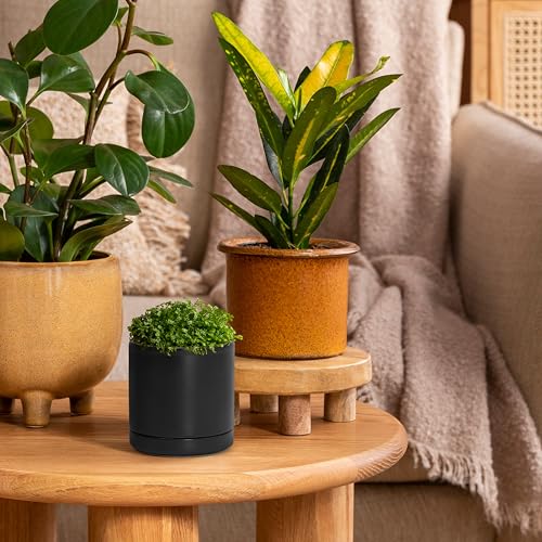 D'vine Dev 2-Pack Ceramic Pots with Saucers, Black, 3.5 in, 94-V-A-2 - color: Black, size: 3.5 Inch