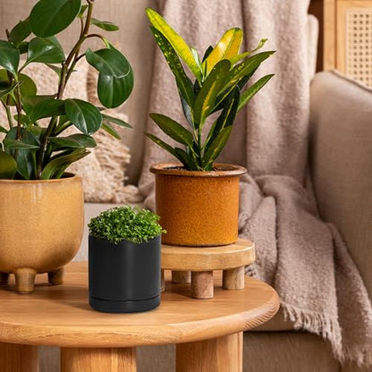 D'vine Dev 2-Pack Ceramic Pots with Saucers, Black, 3.5 in, 94-V-A-2 - color: Black, size: 3.5 Inch