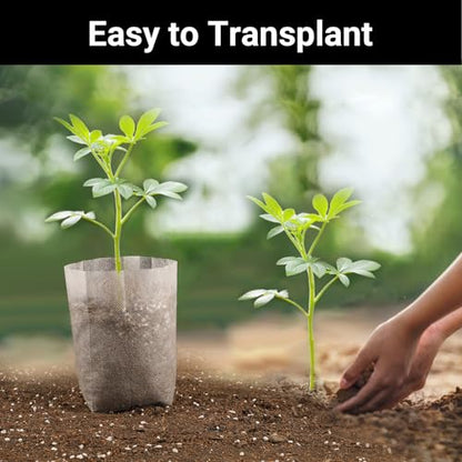 100pcs Plant Nursery Bags, 5.9x6.3 inches Non-Woven Fabric Flower Tree Seed Starters, Garden Plants Seedling Grow Pouch Pots for Seed Starting Growing - color: White, size: 5.9"x6.3"/Pack of 100