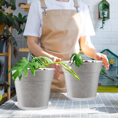 Baderke 3 Pack Clear Nursery Pot,8 Inches - size: 8 Inches
