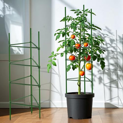 Coloch 100 Pcs Plant Stake Arms for Tomato Cage, 11.8” Expandable Plant Supports Trellis Connector with 2 Buckles for 11mm Diameter Plant Stake, for Climbing Plants, Tomato, Vegetable, Indoor&Outdoor