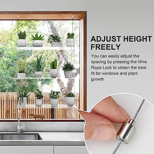 3-Tier Hanging Clear Plant Shelves for Windows, 16 Inch per Tier - size: 3 Tier