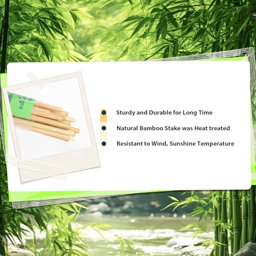 Bamboo Stakes 7 Feet, 84 inch Garden Stakes Multi-Purpose, Bamboo Plant Support Stakes for Tomatos, Beans, Cucumbers, Peppers, Potted Trees, Maintain the Plant Posture, Strengthen and Stem - size: 7FT,Pack of 15