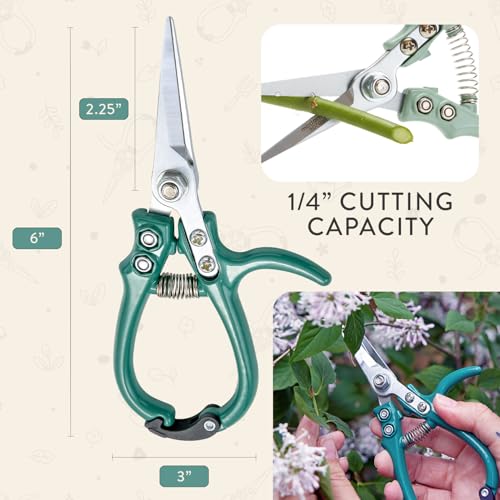 Modern Sprout Pruning Shears - Garden Snips - Herb Scissors - Ocean 1-Pack - color: Ocean