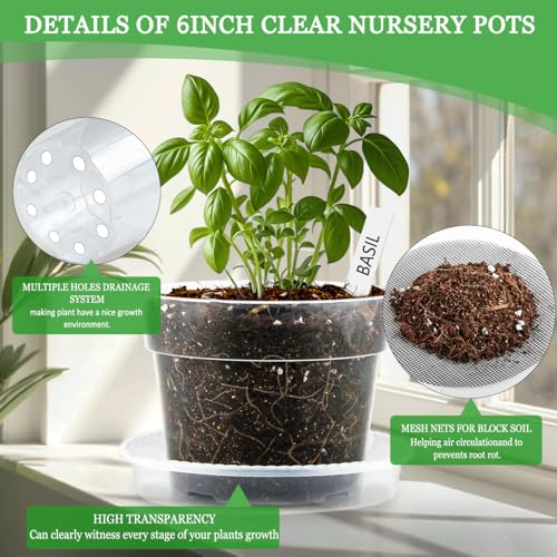 BTPLASTIK 6 Inch Clear Nursery Pots with Humidity Domes 15 Pack, Transparent Plastic Plant Pot with Drainage Holes and Saucers, Seed Starter Pots with 15 Pcs Plant Labels and 15 Pcs Soil Screens - size: 6 Inch-15P-with Humidity Domes
