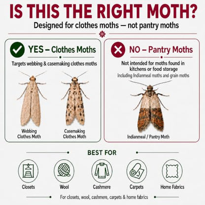 Mottenfalle Clothes Moth Traps, 6-Pack – Premium Pheromone Sticky Traps for Closets, Wool Clothing, Carpets & Home Fabrics – Odorless, Non-Toxic & Eco-Friendly Protection (Table-Top) - size: Table-Top