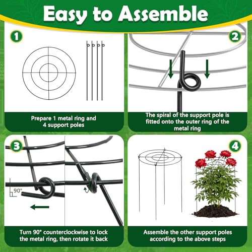 Peony Cages and Supports 8 Pack, 12x16 Inch Heavy Duty Metal Plant Cage for Outdoor Plants – Grow Through Flower Support Rings for Peonies, Roses, Tomatoes & Hydrangeas - size: 8.1PACK-12*16inch
