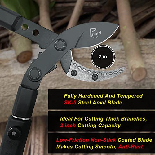 26-41 Inch Extendable Anvil Loppers, Sync Drive Leverage Tree Trimmers, Telescopic Pruners Heavy Duty, 2 Inch Cutting Capacity