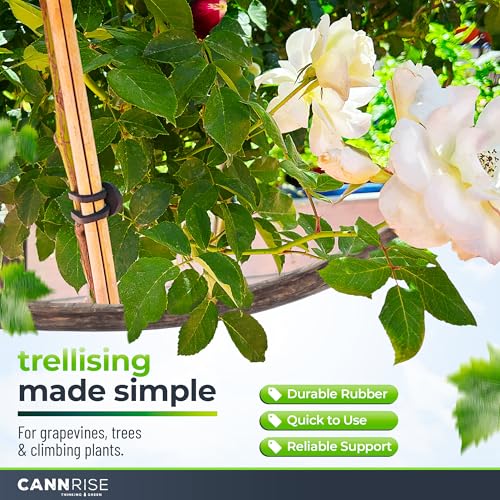 Anchor Bands for Trellising - 33-Pack 12 cm/4.72 in Rubber Vine Ties, UV-Protected Bands: Grapevines, Trees & Climbing Plants – Tool-Free Loop-and-Anchor Design for Install, Weatherproof - size: 33 pack / 4.72"
