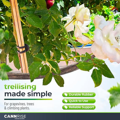 Anchor Bands for Trellising – 70-Pack 8 cm/3.14 in Rubber Vine Ties, UV-Protected Bands: Grapevines, Trees & Climbing Plants – Tool-Free Loop-and-Anchor Design for Install, Weatherproof - size: 70 pack / 3.14"