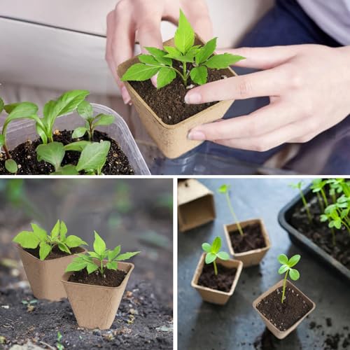 KOAMLY Square Peat Nursery Pots 150 Pcs 3in Biodegradable and Label, Used for Outdoor Gardens in Plant Nurseries