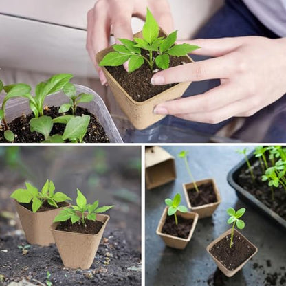 KOAMLY Square Peat Nursery Pots 150 Pcs 3in Biodegradable and Label, Used for Outdoor Gardens in Plant Nurseries
