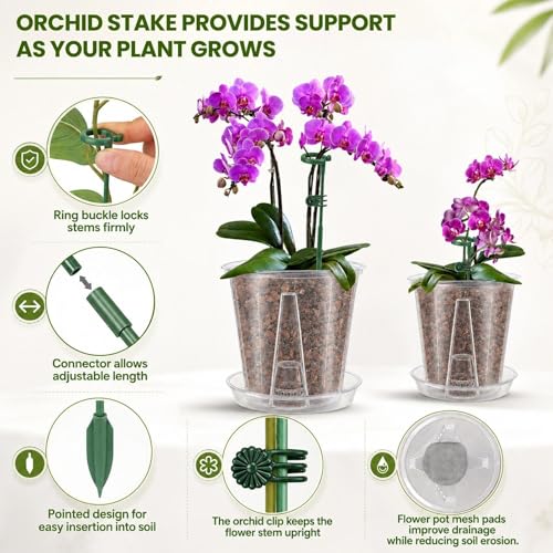 12 Pack Clear Plastic Orchid Pots with Holes, 4 5 6 Inch Set