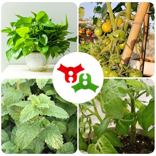 60 PCS Plant Training Clips, Reusable 90 Degrees Bud Trainer Lst Low Stress Training Clips Plant Stem Support Bud Bender for Tomatoes Cucumbers Climbing Plants in Indoor Outdoor Gardens (Red, Green)