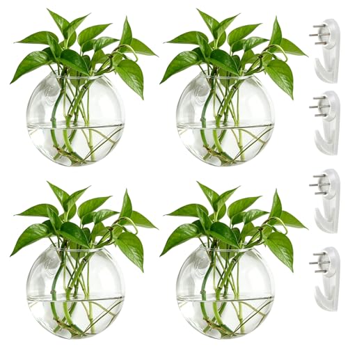 NUPTIO Glass Wall Hanging Planters: Propagation Station for Plants, 4 Pcs - size: 4 Pcs